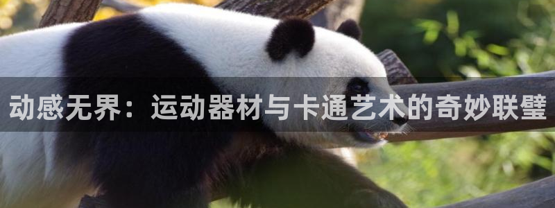 哈哈体育平台:动感无界:运动器材与卡通艺术的奇妙联璧