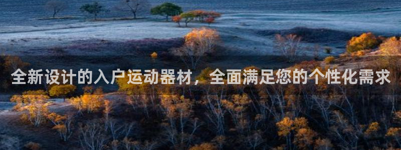 哈哈体育娱乐40996:全新设计的入户运动器材,全面满足您的