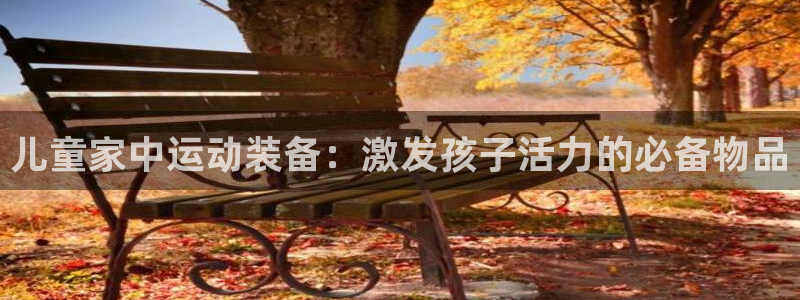 哈哈体育集团:儿童家中运动装备:激发孩子活力的必备物品